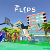 Mr Flip